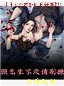 叶凡几个老婆