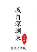 我自深渊来 赵颜里