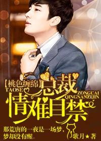 首席总裁爱你入骨完本