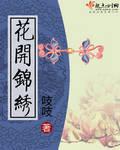 恰锦绣华年