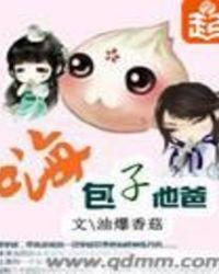嗨包子他爸免费阅读
