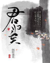 君归矣完结了吗?