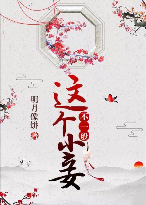这个小妾不一般的主要内容