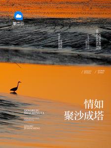 聚沙成塔的精髓八个字