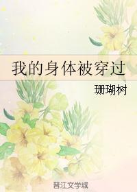我的身体被穿过 txt文件