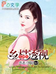 透视乡村小神医全本免费