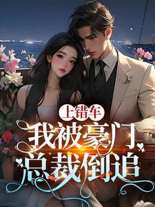 我的司机巩
