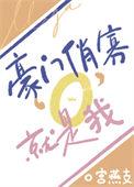 豪门小俏妻