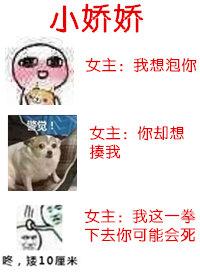 小娇娇受宠记七猫