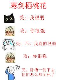 寒剑栖桃花故事梗概