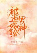 被迫嫁给男神讲的什么