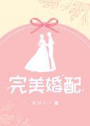 完美婚配by笑佳人讲的什么