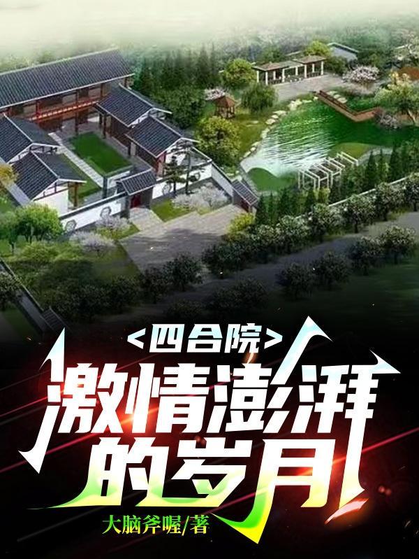 四合院激情澎湃的岁月免费阅读