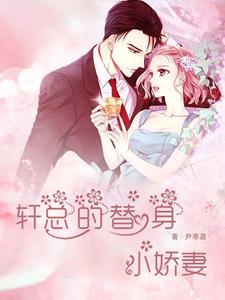 总裁替身小娇妻角色介绍