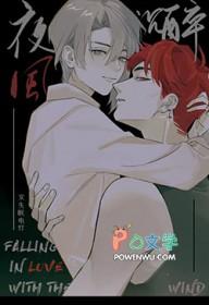 夜风是什么意思