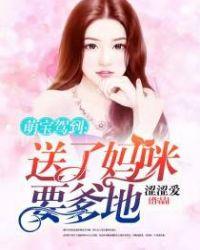 萌宝驾到爹地追妻超级甜短剧