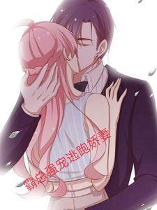总裁霸宠小逃妻
