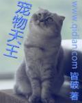 宠物天王漫画最新免费上滑式