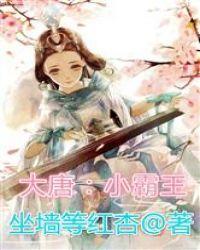 大唐小霸王合集