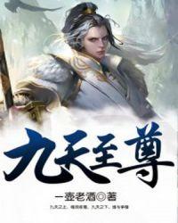 九天至尊大帝林辰是谁