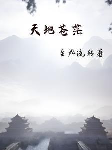 天地苍苍的下一句