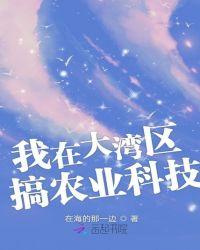 大湾区乡村