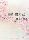 小寡妇招夫记开花不结果无防盗