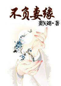 不负妻缘全文阅读