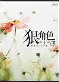 狠角色三十三讲的什么推荐