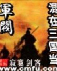 混在三国当军阀写的怎么样