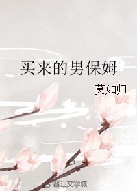 买来的男保姆莫如归
