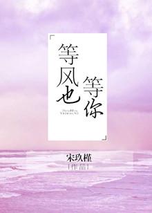 等风也等你电视剧免费观看全集高清