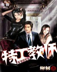 特工教师spy