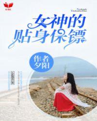 女神的贴身保镖叶辰