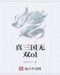 真三国无双8手机版