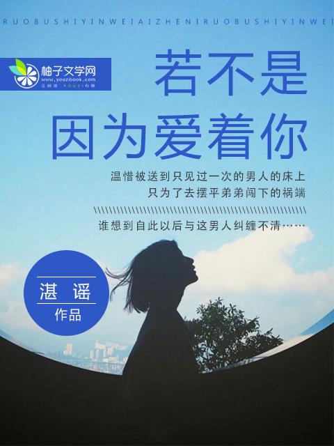 若不是因为爱着你 歌词