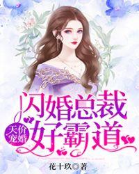 闪婚总裁超霸道