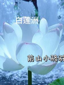 白莲洲村第7组鱼歌小灶农家乐