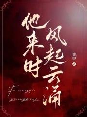 他来时风起云涌全集免费播放