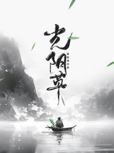 观音草的功能和作用