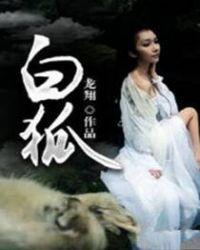 白狐移植汉化组