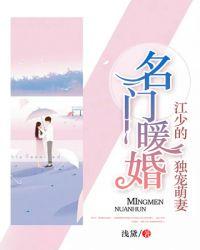 江少宠妻无节制txt