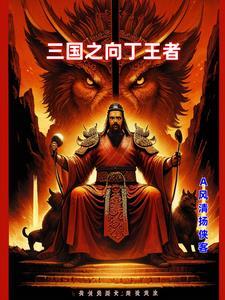 三国之丁夫人