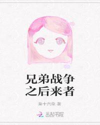 兄弟战争 为了后宫