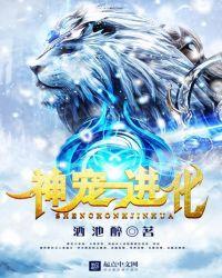 神宠进化结局