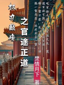 权力巅峰和官途哪个好看