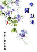 奈何肤浅非木非石讲的什么