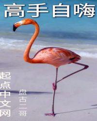 飞碟go