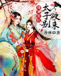 爆笑宠妃七天七夜