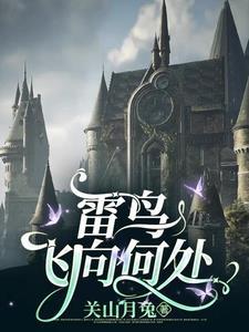 雷鸟是什么